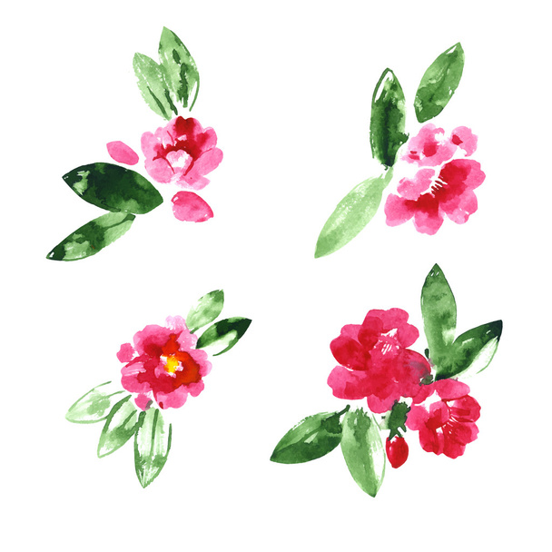 Collection of watercolor camellia flowers - Vecteur, image
