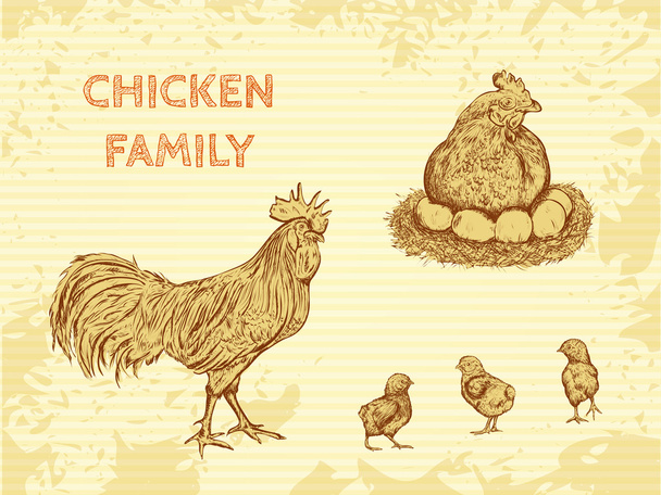gospodarstwo ekologiczne rocznika plakat z rodziny kurczaka: kogut, kura z kurcząt. Ilustracja wektorowa retro ręka w styl szkic - Wektor, obraz
