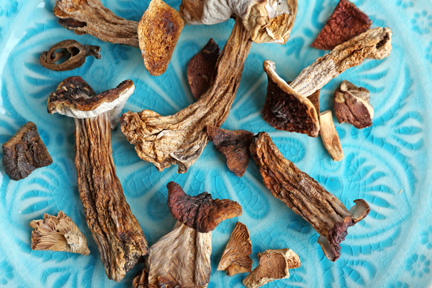 Dried mushrooms on color plate, closeup - Foto, imagen