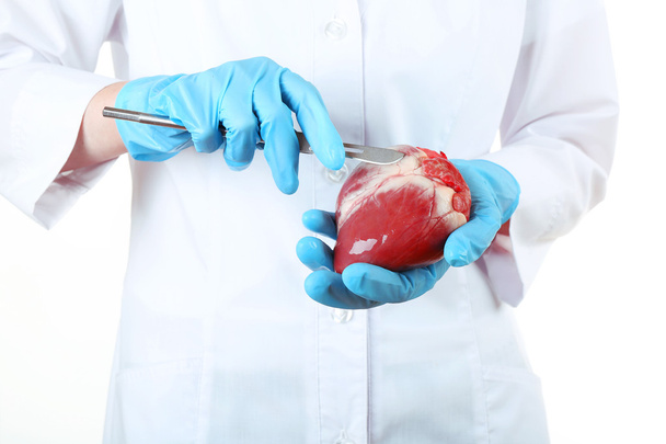 Doctor holding heart organ and scalpel close up - Foto, Imagem