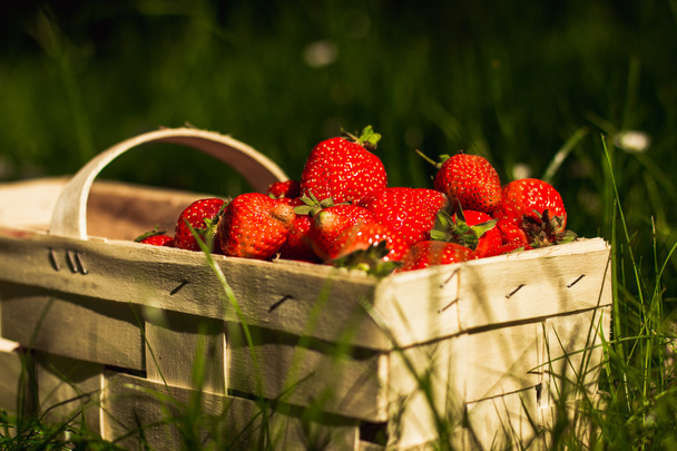 Φράουλες στο καλάθι στο πράσινο γρασίδι - Φωτογραφία, εικόνα