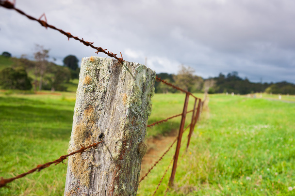 Régi kerítés post huzal vezető mezőgazdasági táj túl - Fotó, kép
