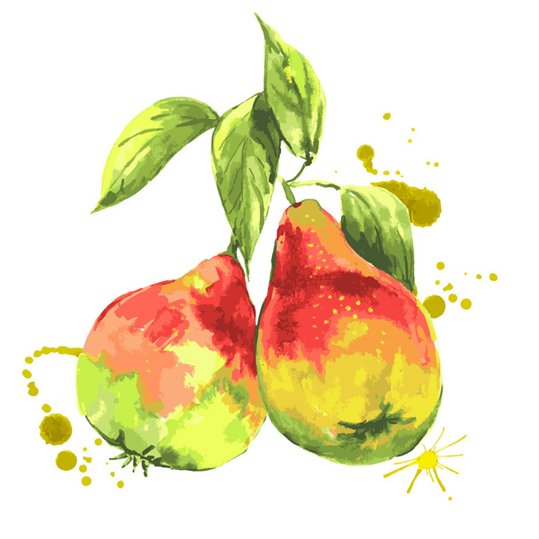 Akvarel hrušky, letní ručně kreslenou ovoce - Vektor, obrázek