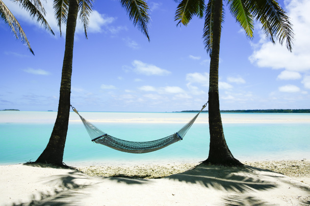 Hamac vide suspendu entre deux palmiers sur la plage de l'île du Pacifique
 - Photo, image