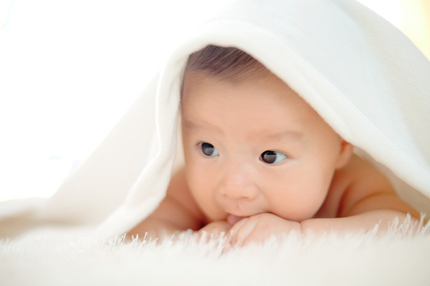 かわいい赤ちゃんの肖像 - 写真・画像