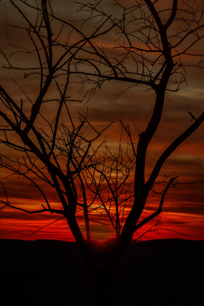 Paysage forestier au coucher du soleil
. - Photo, image
