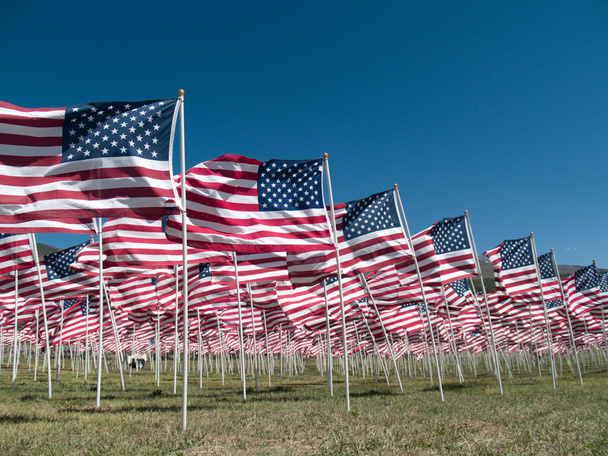 Amerikan bayrakları - Fotoğraf, Görsel