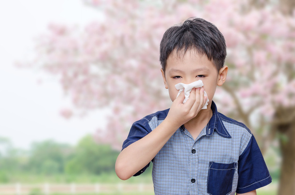Junge hat Allergien gegen Blütenpollen - Foto, Bild