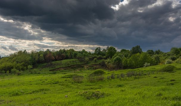nadciągającej burzy na pola i łąki - Zdjęcie, obraz