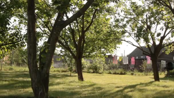 farmyard orchard dolly - Footage, Video