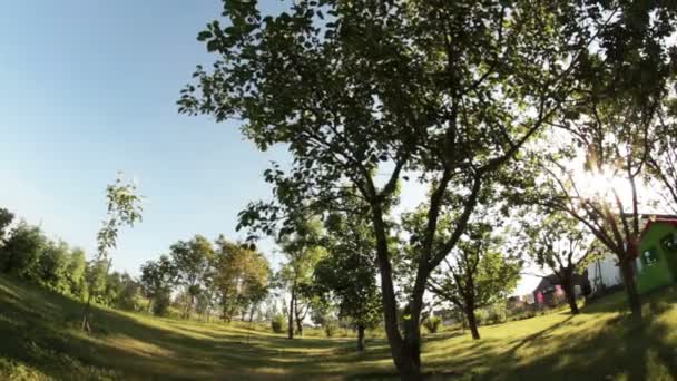 farmyard orchard dolly - Footage, Video