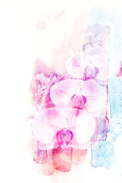 Flower watercolor illustration. - Φωτογραφία, εικόνα