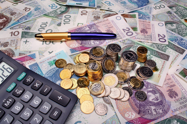 Gehalt für polnisches Geld - Foto, Bild