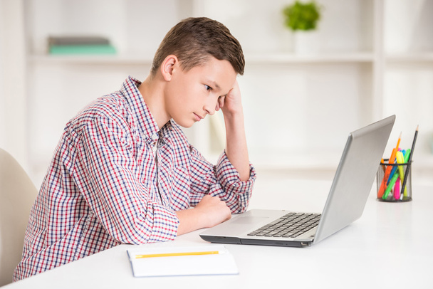 Boy with laptop - Zdjęcie, obraz