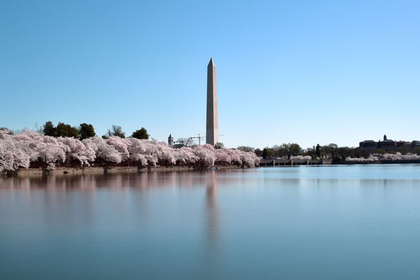 Washingtonský památník - Fotografie, Obrázek