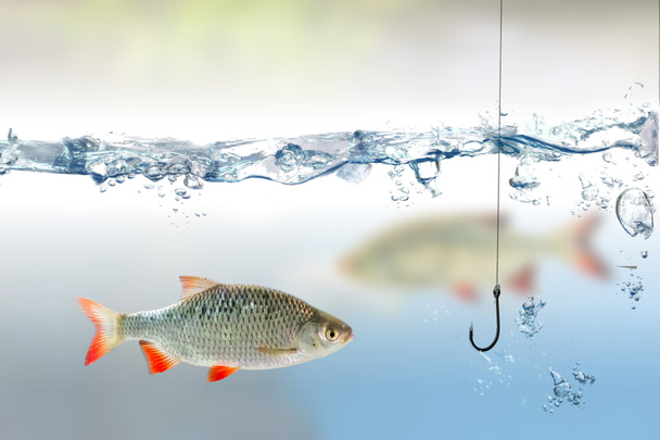 Рыболовный крючок под водой и рыбный руль
 - Фото, изображение