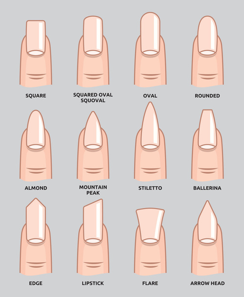 Different nail shapes - Fingernails fashion Trends - Vector, Image