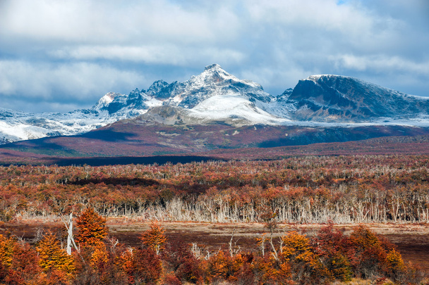Autumn in Patagonia. Cordillera Darwin, Tierra del Fuego - Photo, Image