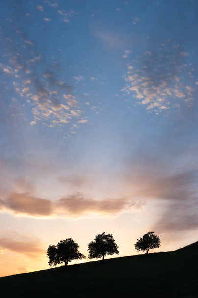 drei Silhouettenbäume und Wolkenlandschaft - Foto, Bild