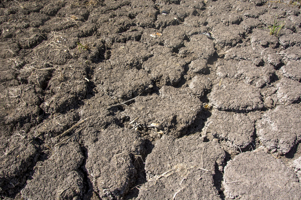 Cracked dry earth - Foto, Bild