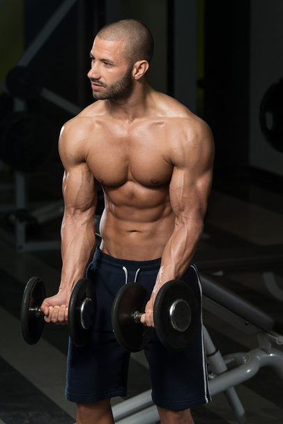 Dumbbell Concentration Curls - Photo, image