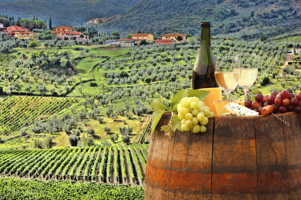 White wine with barrel on vineyard in Chianti, Tuscany, Italy - Photo, Image