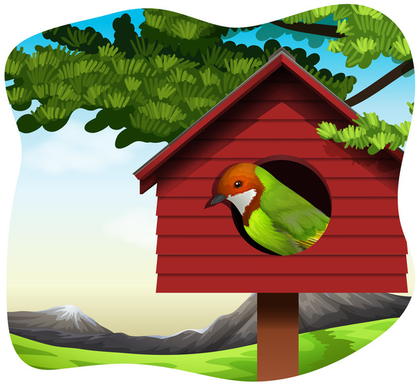 Птичий дом
 - Вектор,изображение