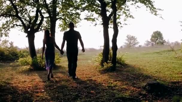 walk the forest boy and girl at sunset - Video, Çekim