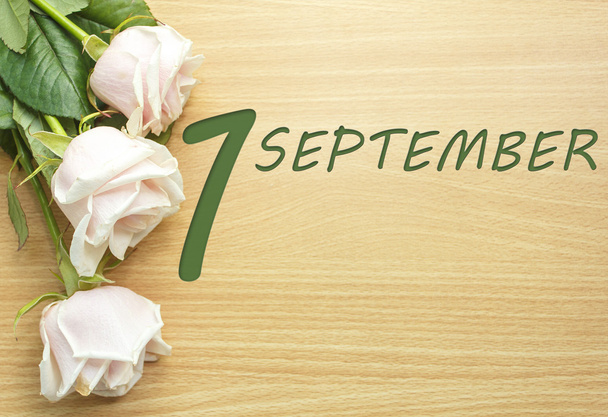 1 сентября, розы на деревянном столе
 - Фото, изображение