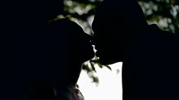 Young loving couple in autumn forest - Felvétel, videó
