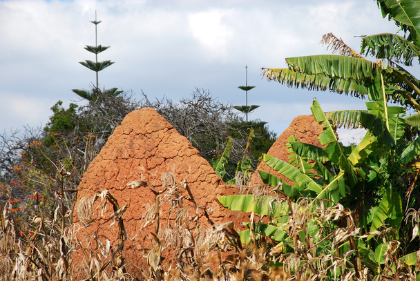 Construindo uma casa feita de lama e argila em Pomerini, na Tanzânia
 -  - Foto, Imagem