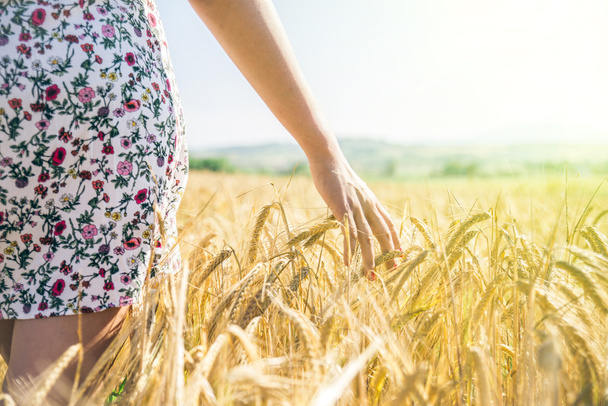 Woman walks in a corn field - Fotografie, Obrázek