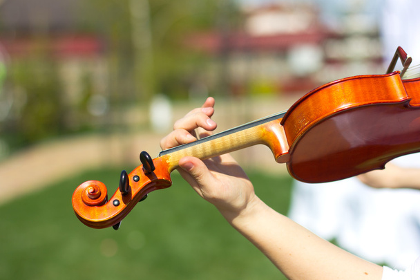 Tyttö soittaa viulua ulkona. Muusikko häihin.Viulu taivaan alla
 - Valokuva, kuva