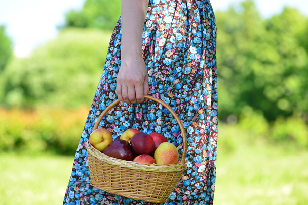 adult woman with a basket of fruit in the park - Foto, Imagen