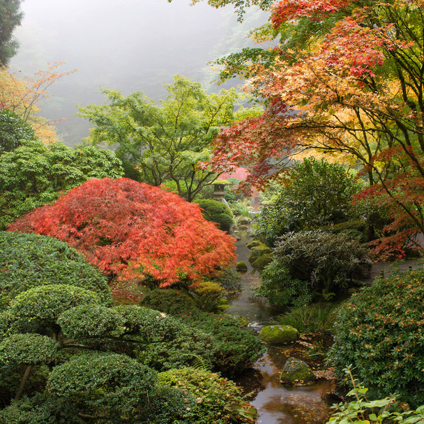 Bach im Japanischen Garten im Herbst - Foto, Bild