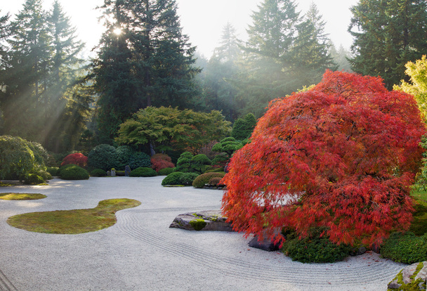 Raggi di sole al giardino Zen piatto giapponese
 - Foto, immagini