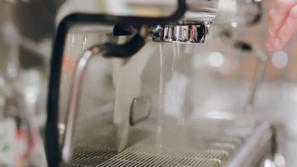 professional coffee in a modern cafe coffee - Footage, Video