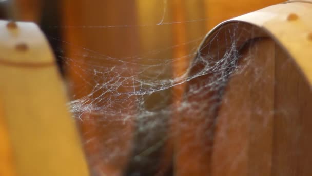 Spider web on a barrel - Footage, Video