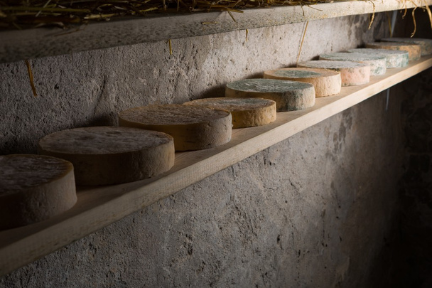フランスの地下室で成熟ヤギのチーズ - 写真・画像