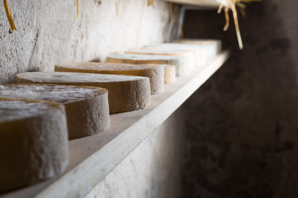 Γαλλικό κατσικίσιο τυρί ωριμάζει στο υπόγειο - Φωτογραφία, εικόνα