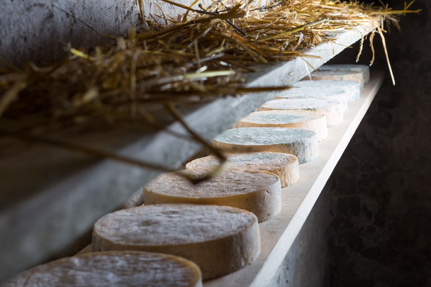 Francouzský kozí sýr zrající v suterénu - Fotografie, Obrázek