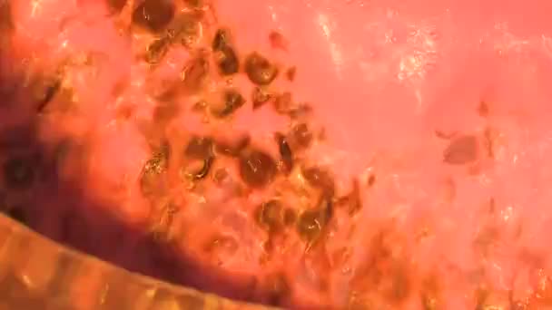 uva em tanque de fermentação
 - Filmagem, Vídeo