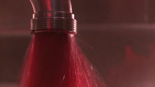 young wine out of a bowl - Footage, Video