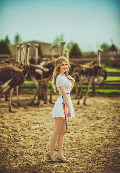 Meisje en struisvogels in het beschermde park - Foto, afbeelding