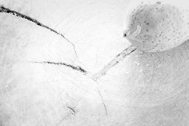 Papaye sur le bloc Couleur blanche
 - Photo, image