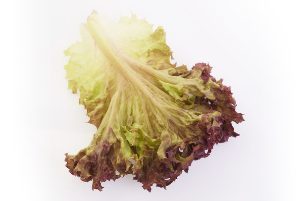 red lettuce - Photo, Image