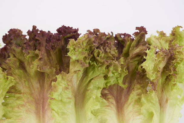 красный салат
 - Фото, изображение