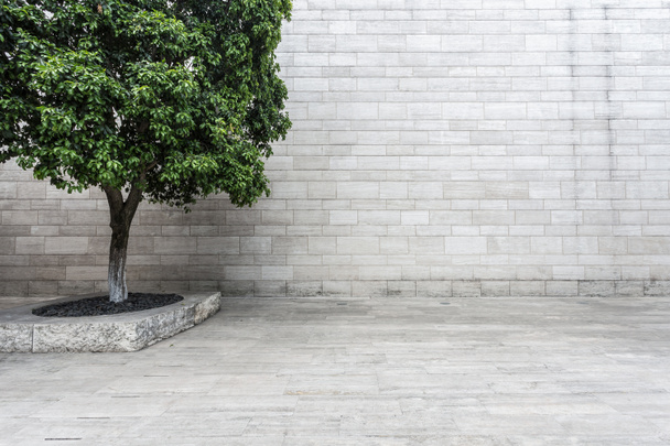 λευκό τοίχο και ψαμμίτη άδειο δρόμο - Φωτογραφία, εικόνα