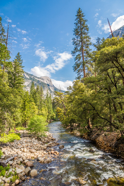Merced river in Yosemite National Park - Photo, Image