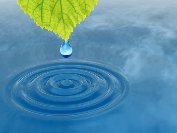 Dew drop vallen van een groen blad - Foto, afbeelding